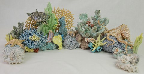 Coral Reef