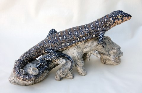 Dwarf Tegu